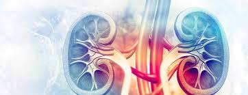 Kidney Stones: Symptoms, Causes, and Modern Laser Treatments