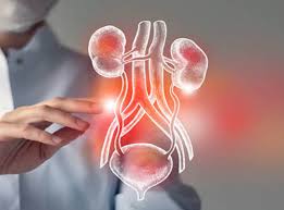 What is Benign Prostatic Hyperplasia (BPH)? Managing Enlarged Prostate